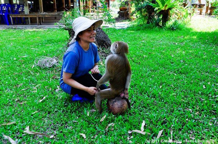 Ruean Thai Nai Bang By Pansak Resort Сурат-Тхані Екстер'єр фото